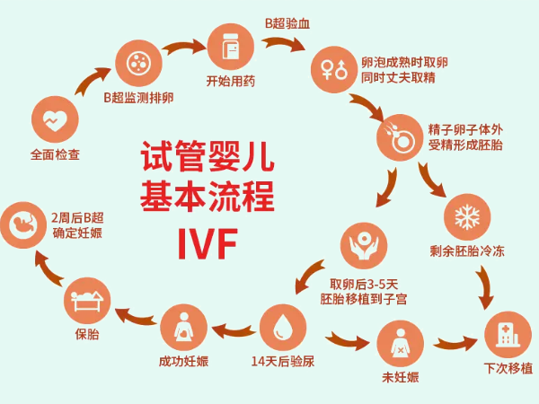 试管前男女都需要全面检查