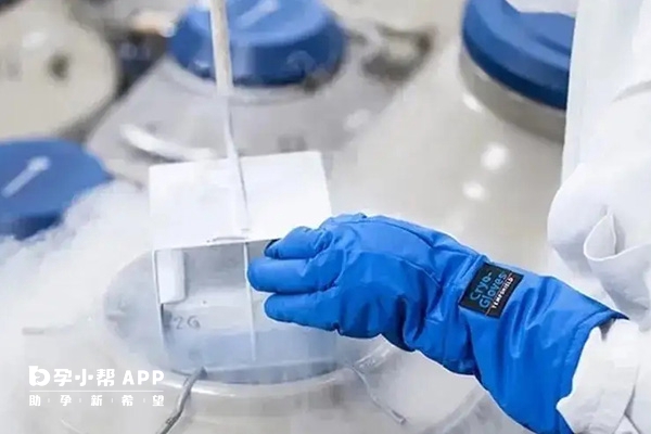 国内不允许单身女性冻卵