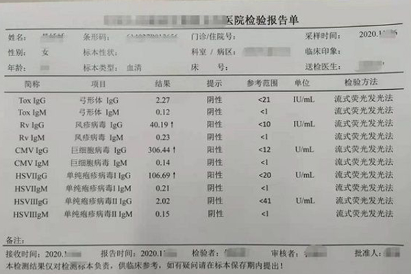 torch十项检验报告单