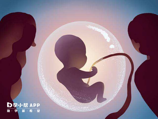 怀女儿跟备孕期间做什么关系不大