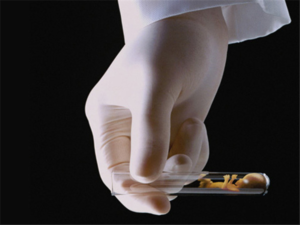 试管婴儿鲜胚培养3天可移植