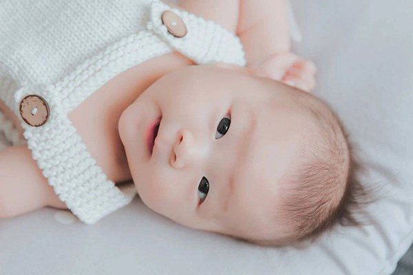 2023年1月备孕生的兔宝宝聪明