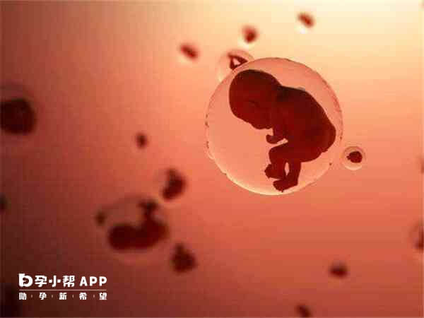 做试管婴儿前需检查