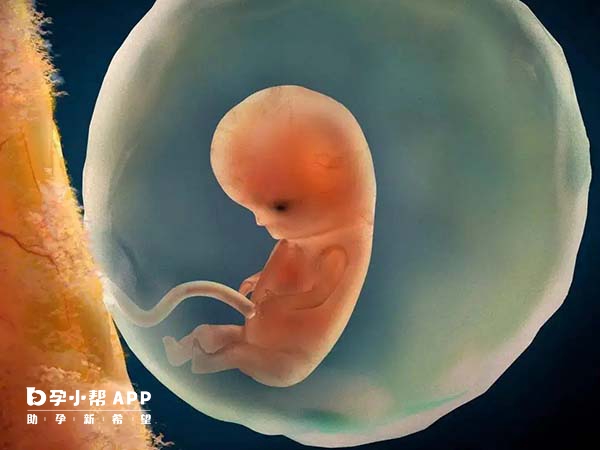 备孕怀女孩的方法有6种