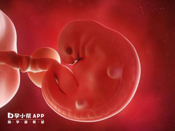 孕出现胎儿不稳定就易胎停