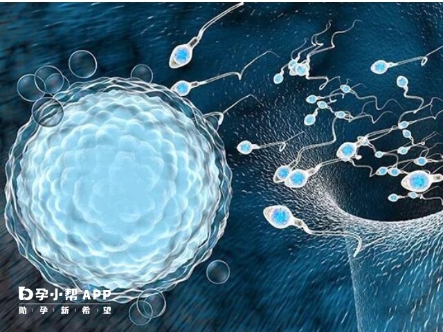 心理调节是增加y精子数量的关键