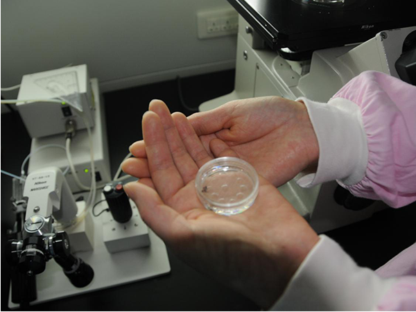 每位患者做试管所需时间都不同