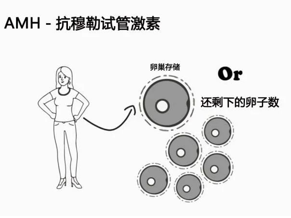 AMH值正常的范围是2-6.8ng/ml