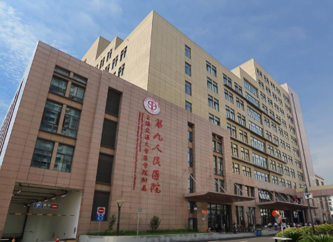 上海九院二代试管成功率