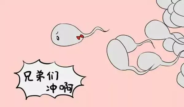 挑选供精方