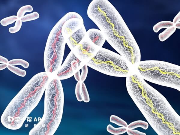 染色体异常可做基因检测