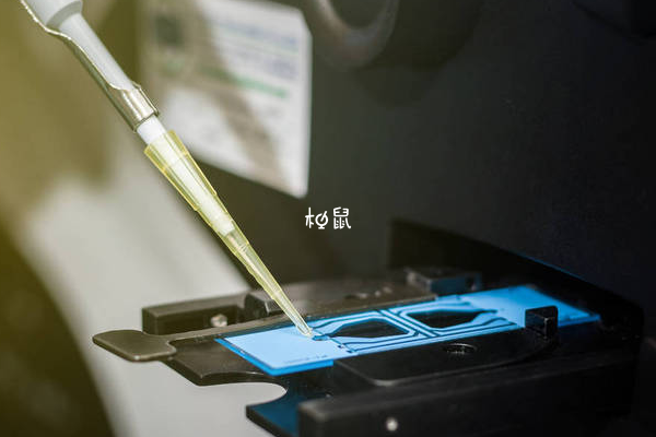 第四代试管婴儿主要解决了决线粒体疾病