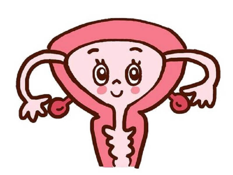 单角子宫合并残角子宫足月妊娠成功几率小
