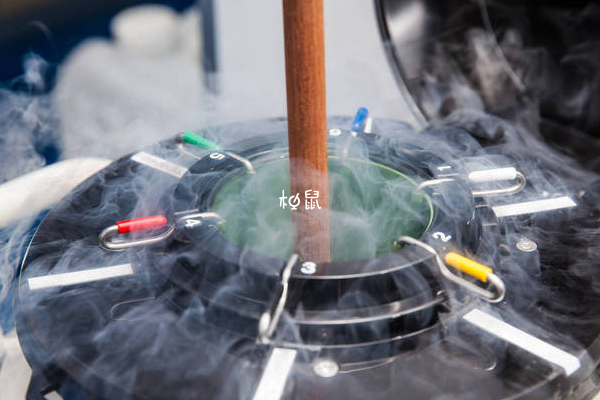 四代和三代试管之间有区别