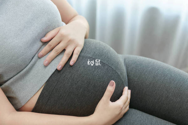 怀孕养狗需要注意一些事情