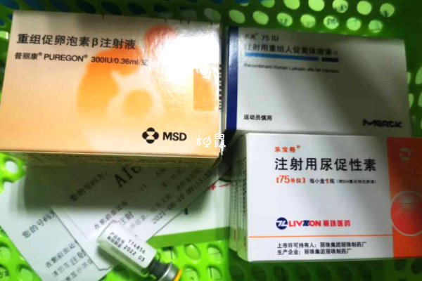 试管促排卵步骤分享