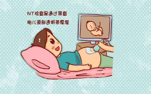 nt检查与胎儿性别无关