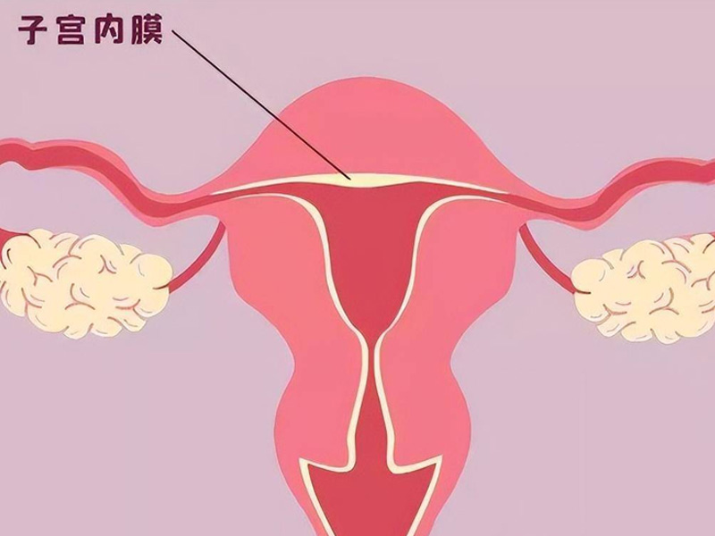 内膜3.7mm会影响月经来潮