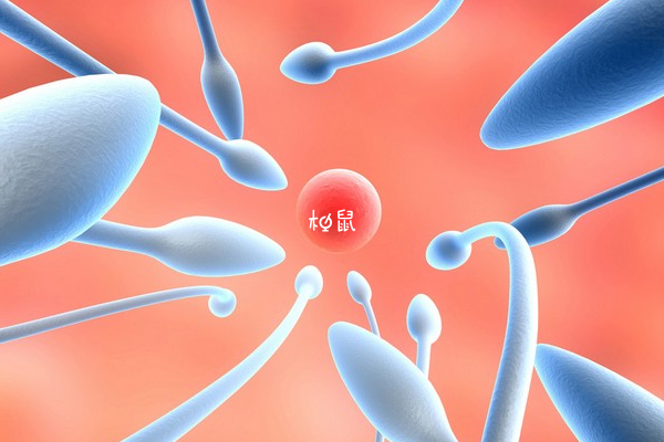 女性有抗精子抗体可以通过药物治疗