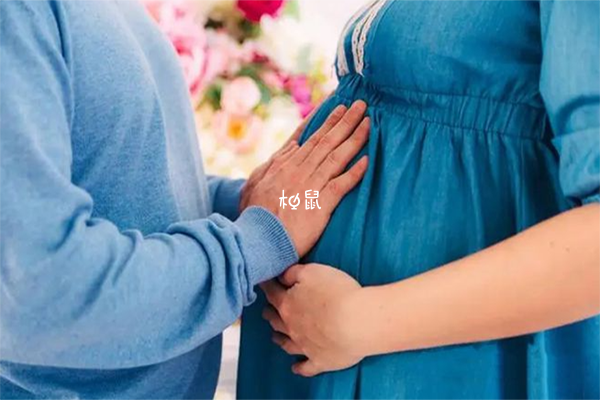 供卵试管