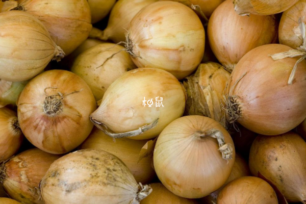 孕期降血糖可以吃洋葱