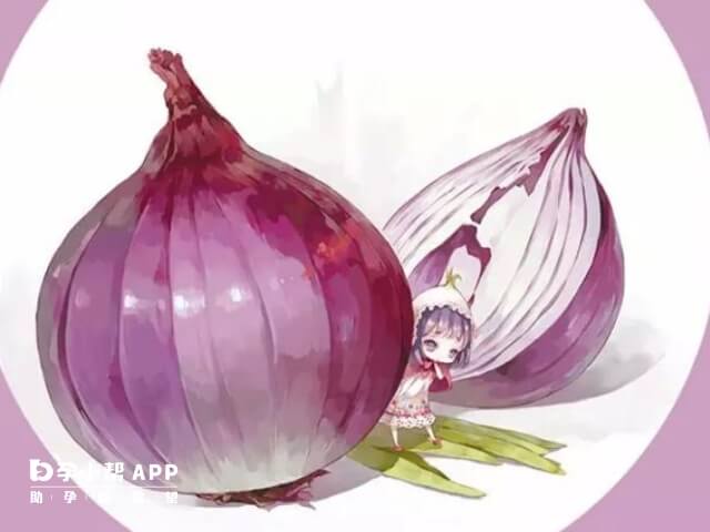 吃生洋葱并不会引起宫缩的