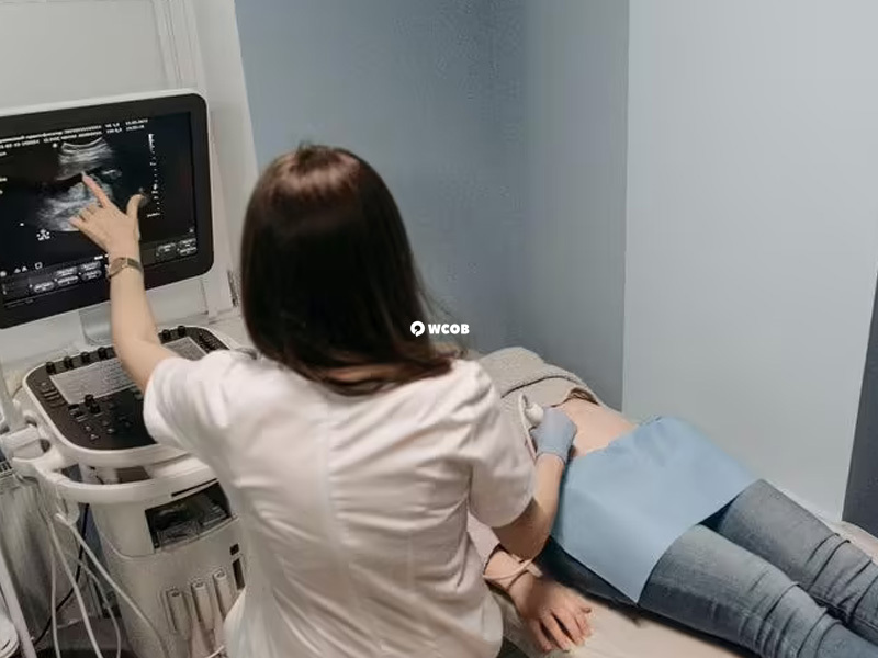 第二次产检需要查胎心率