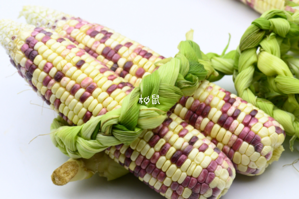 孕妇吃玉米是长胎的