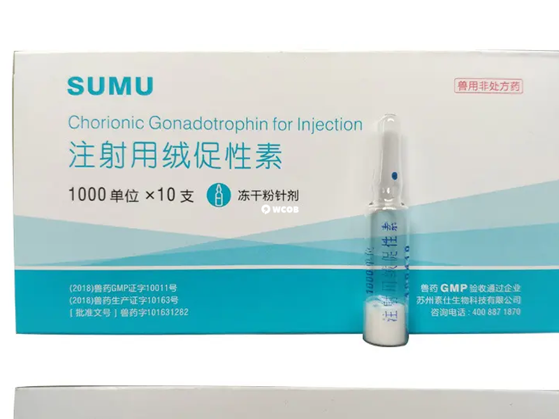 注射用绒促性素是处方药