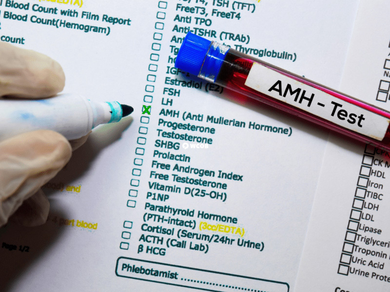 amh0.03