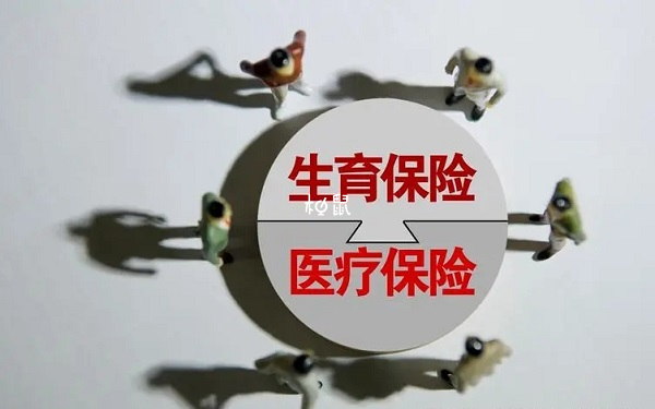 生育险在十八个月之内都可报销