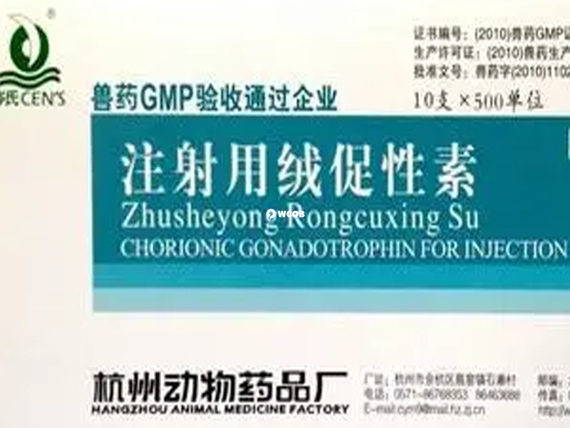 注射绒促性素后有安胎的效果