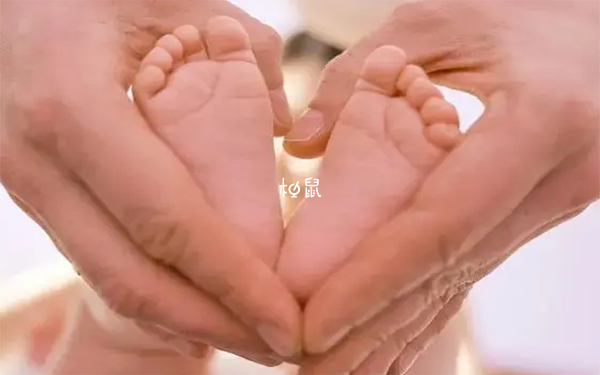 试管建档