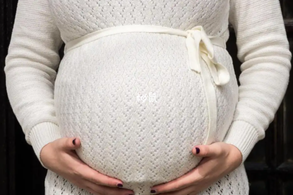 怀女宝肚型图片