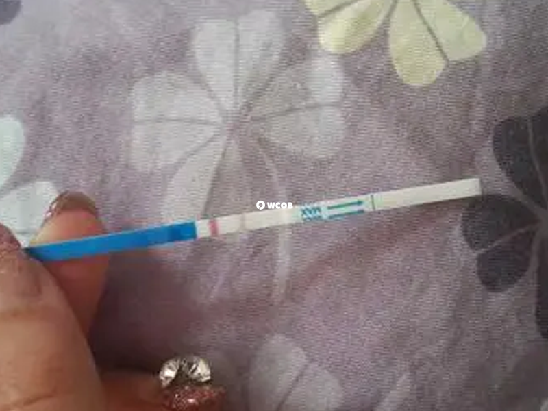 红线一深一浅表示已怀孕