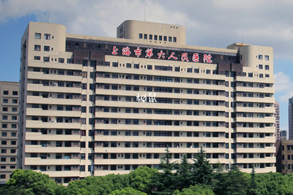 上海六院促排费用不固定