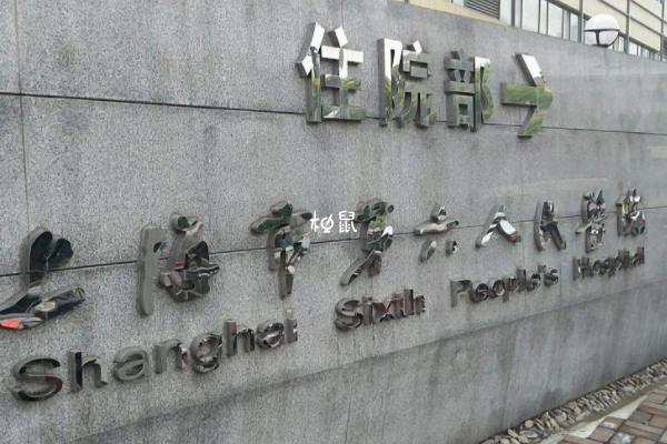 上海六院养囊的成功率在60%-70%左右