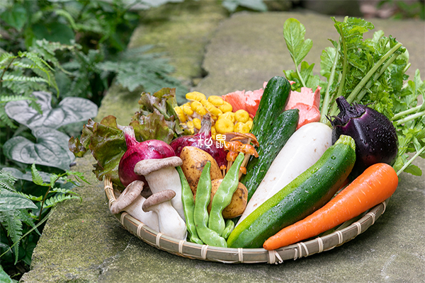 不是所有的野菜孕妇都能吃