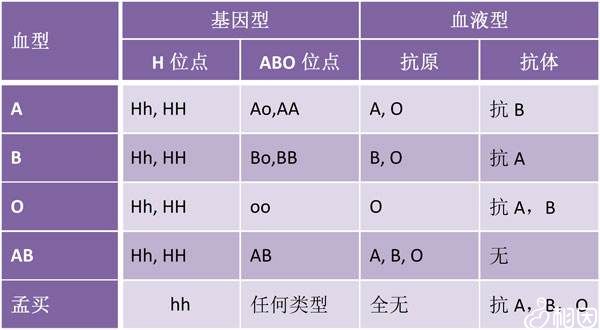 血型（ABO RH）的检查