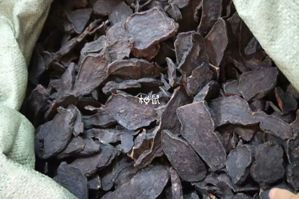 中药何首乌可能会致畸