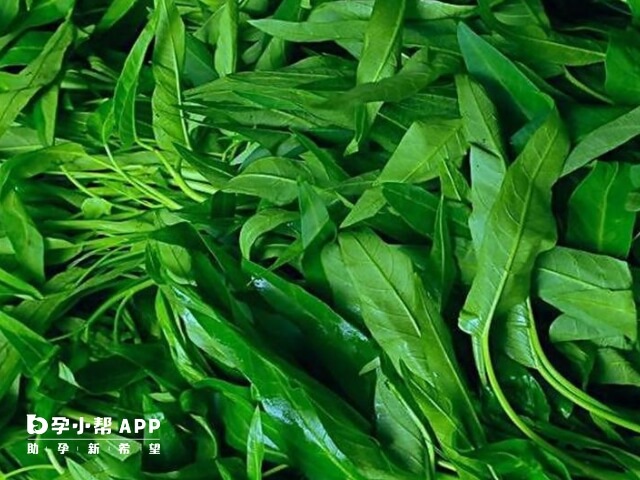 吃空心菜是不会引起宫缩的
