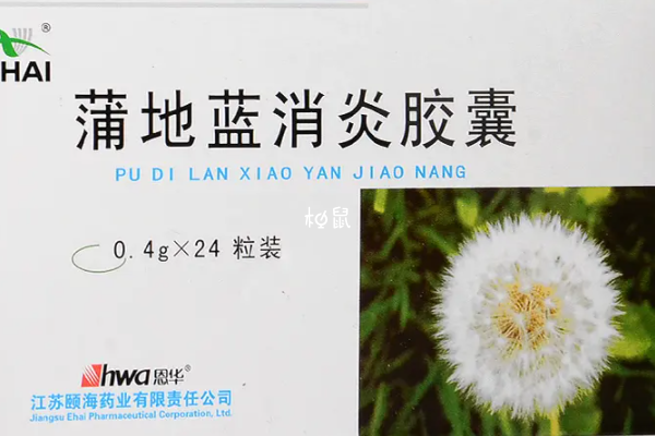 孕期吃蒲地蓝可以缓解贫血