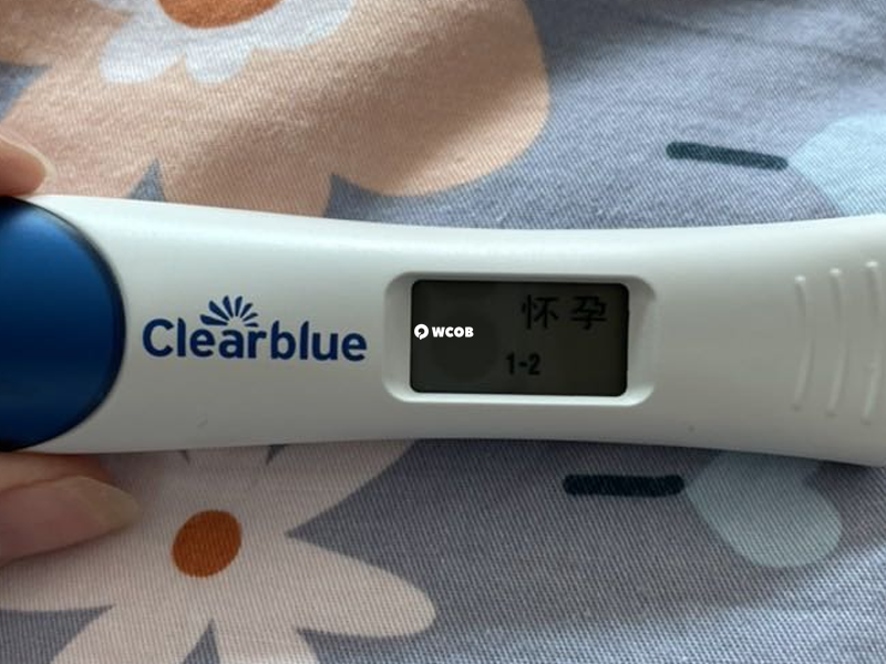 可丽蓝使用时要将吸尿棒液于吸尿孔