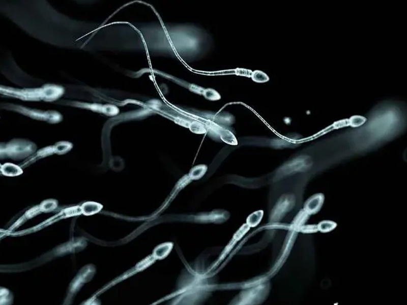 通过锻炼可改善精子碎片问题