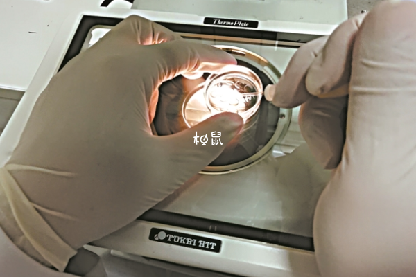试管胚胎培养需要3-7天