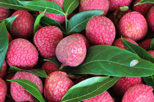 备孕食用过多荔枝会上火