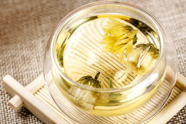 孕期上火可以喝菊花茶