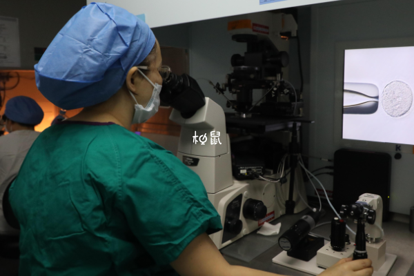胚胎遗传学检查是对胚胎基因进行筛查
