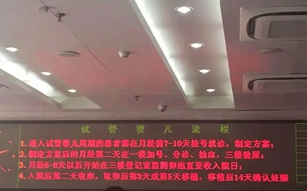 试管建档流程