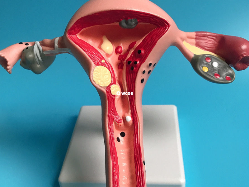 停经是受孕成功的标志之一